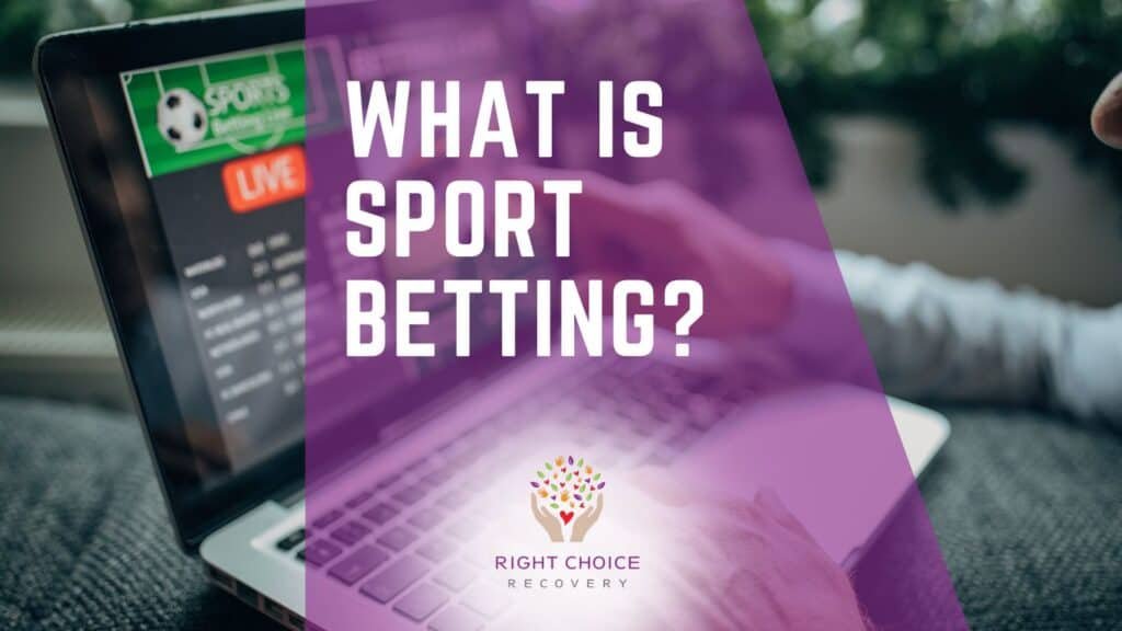 Exploring Live Dealer Games With Tipping Features 17 Exploring Live Dealer Games With Tipping Features 17